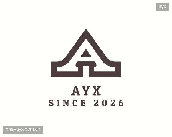 解读ayx公司